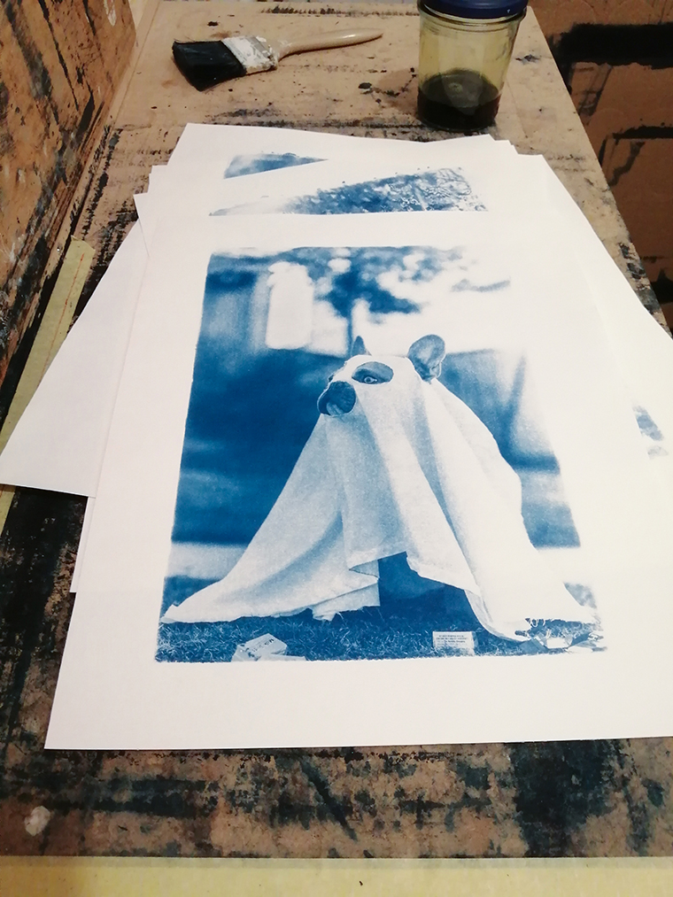Cyanotype fine art print 01